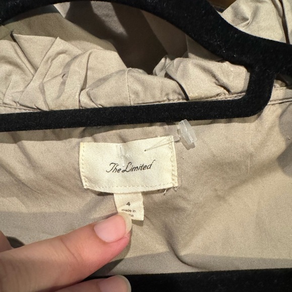 The Limited Tan Ruffle Mini Dress - Picture 4 of 9